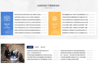 旺和招标咨询 专业引领，精准服务工程招标与商务信息咨询